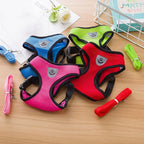 Coleira e Guia Pet Bunit Premium