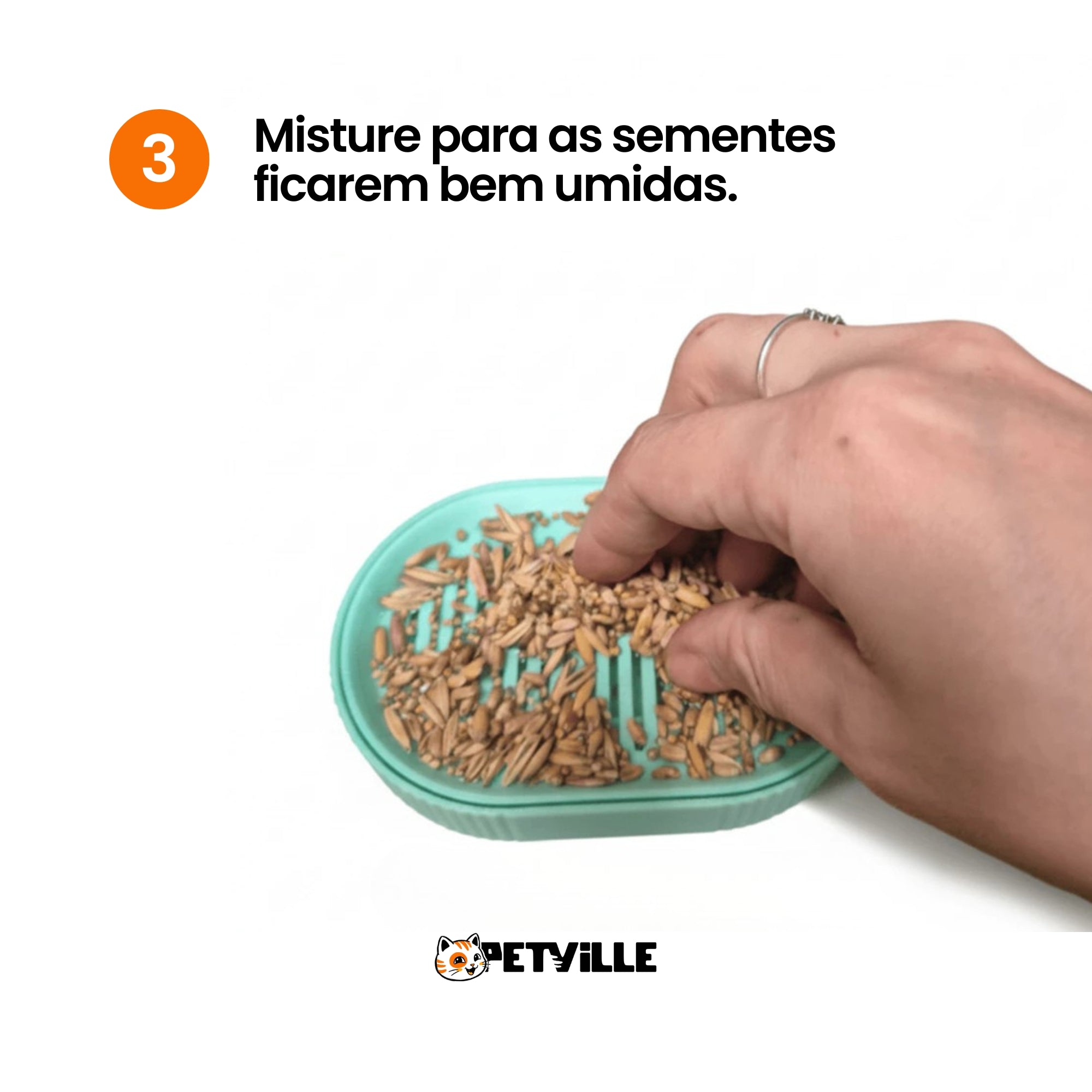 Grama Hidropônica Cultivável para Gatos - Petville™