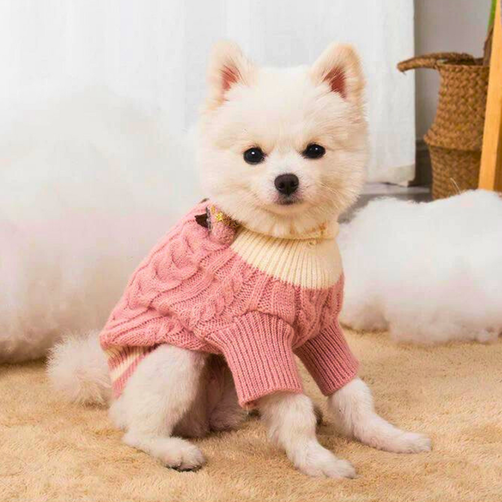 Fashion Tricot Para Cachorro e Gato