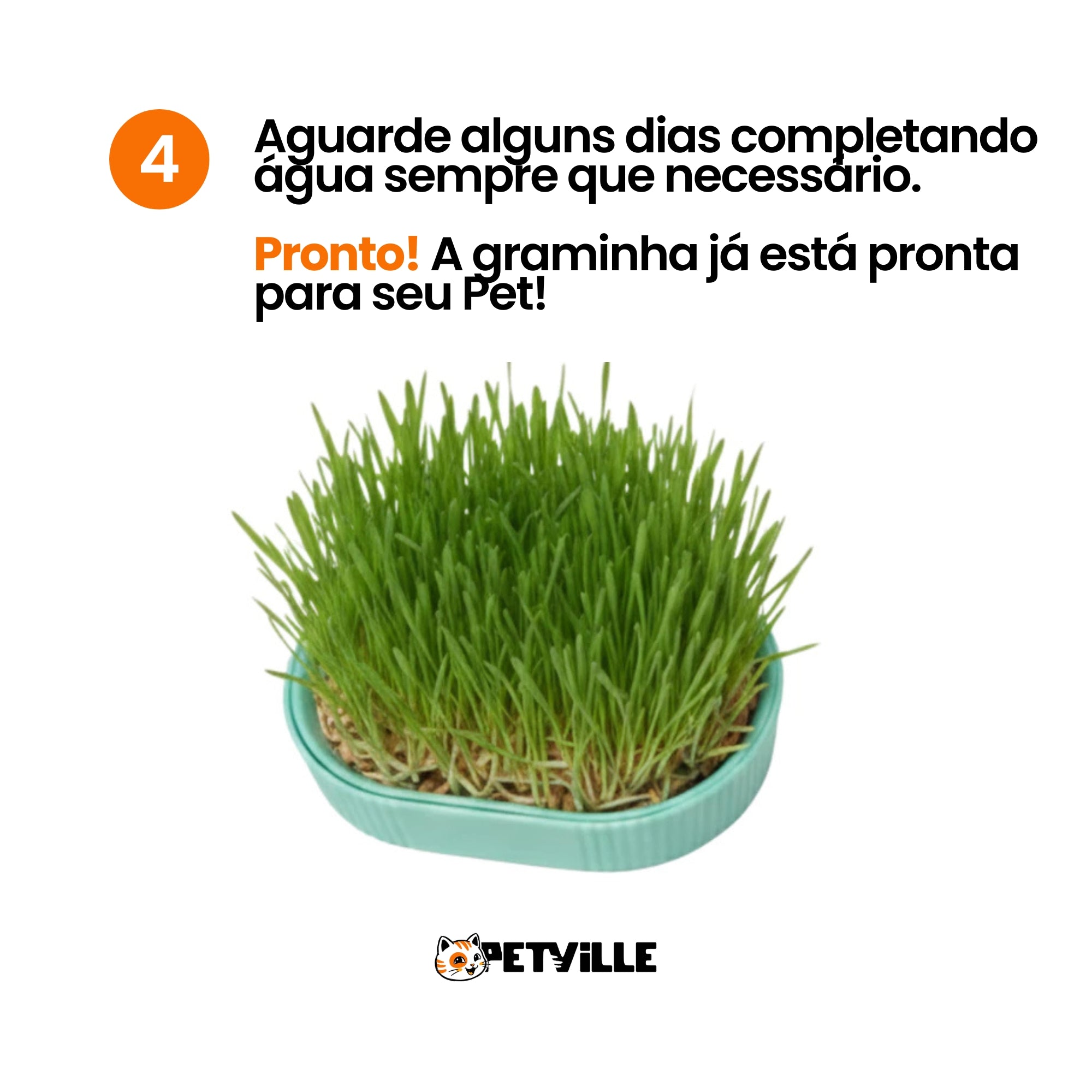 Grama Hidropônica Cultivável para Gatos - Petville™