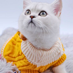 Fashion Tricot Para Cachorro e Gato