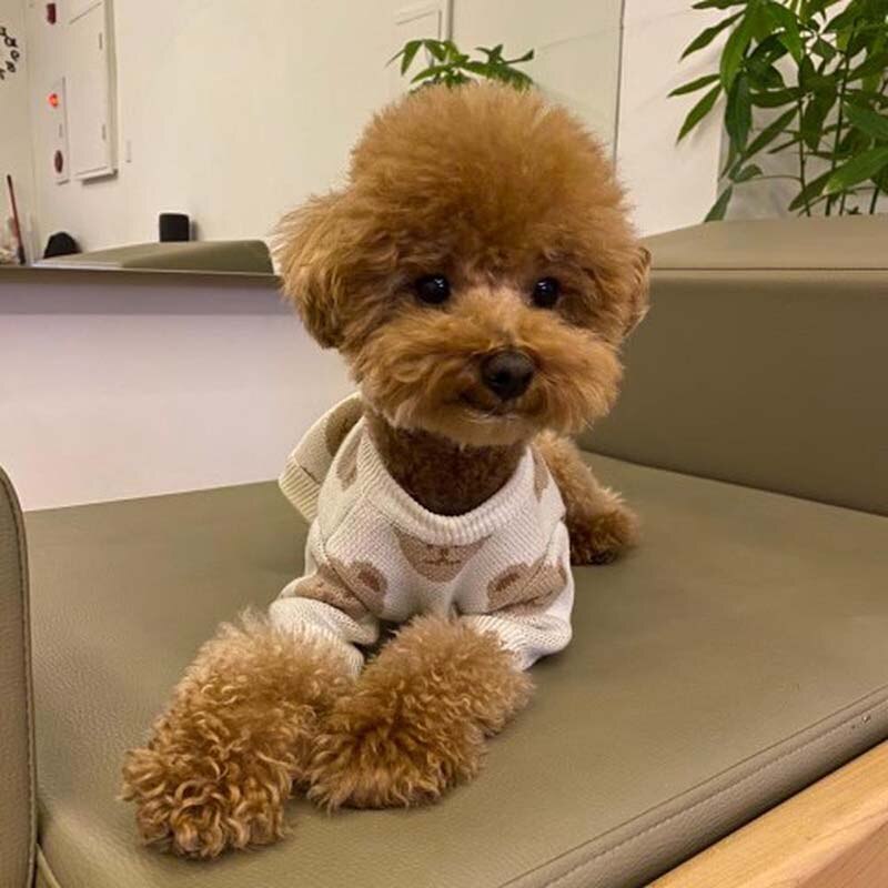 Suéter Pet de Algodão Azul e Branco