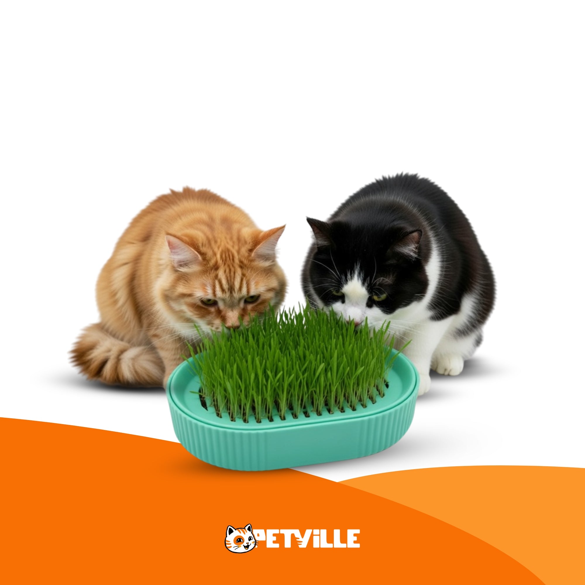 Grama Hidropônica Cultivável para Gatos - Petville™