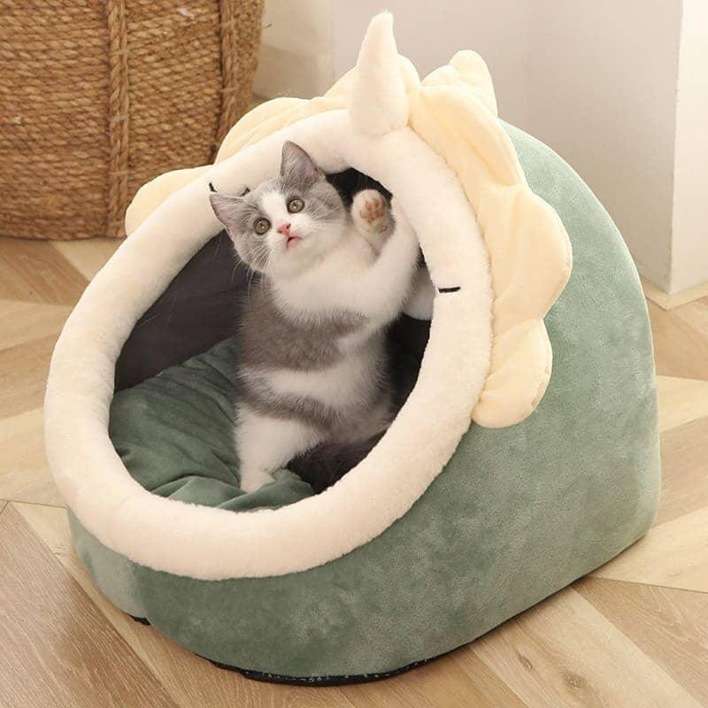 Gatinho fofo em cama de gato em forma de dragão, acessórios para pets confortáveis