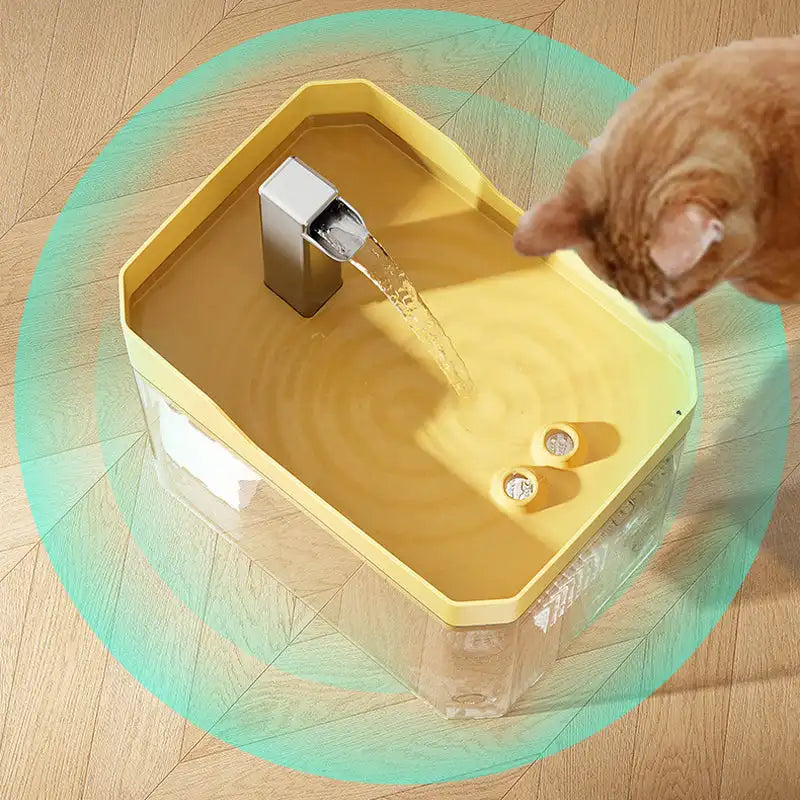 Bebedouro Elétrico com Fonte Purificadora para Pets